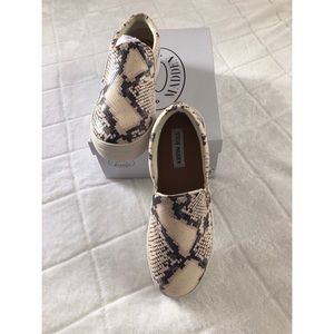 Steve Madden Gills Snake Skin Sneakers